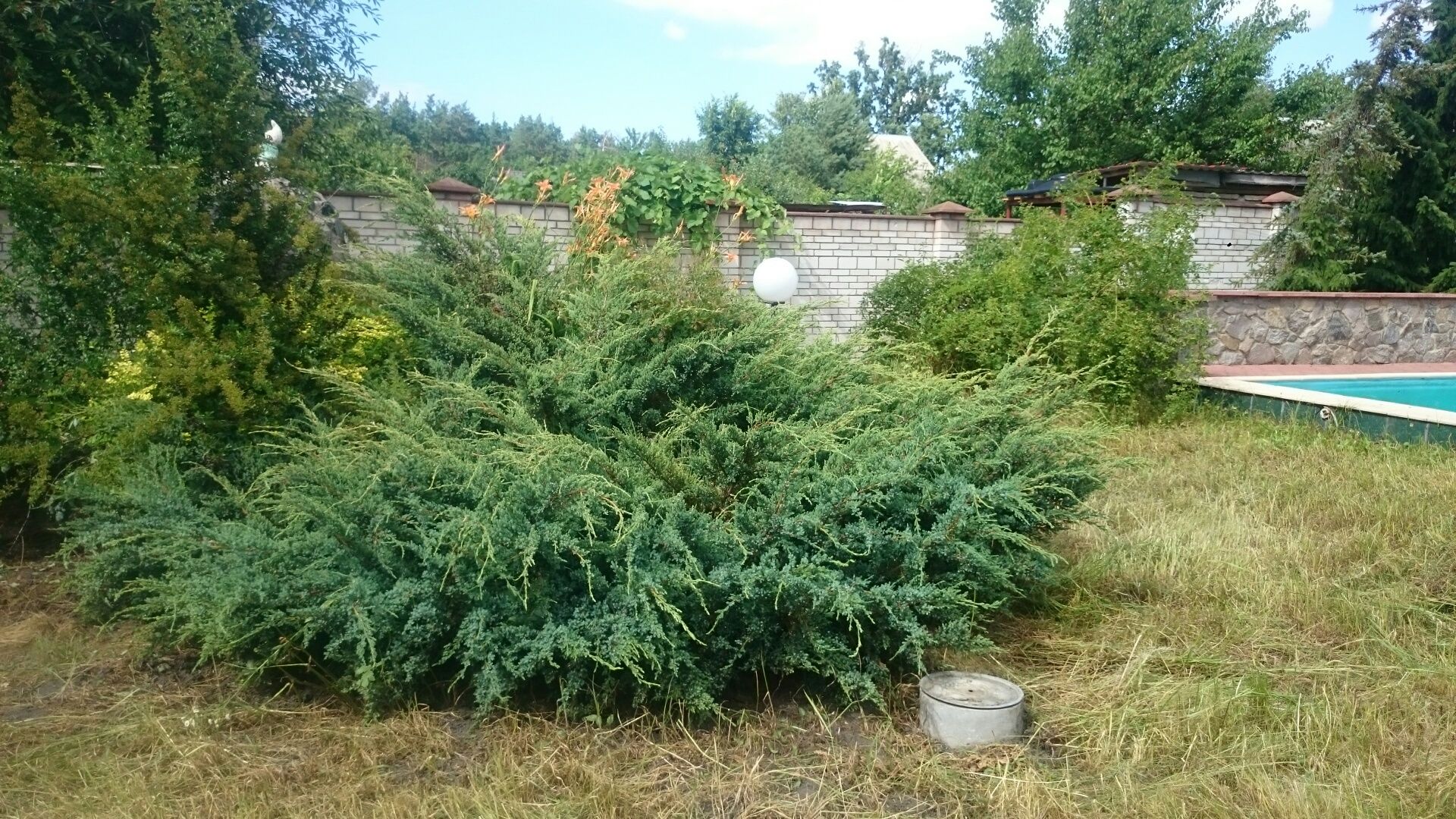 Сдам ДОМ + гостевой дом с сауной, беседка с камином, бассейн, ГЕНЕРАТО