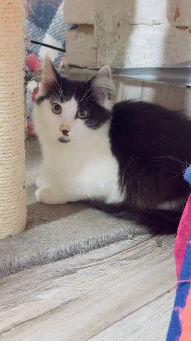 Хлопчик шукає дім