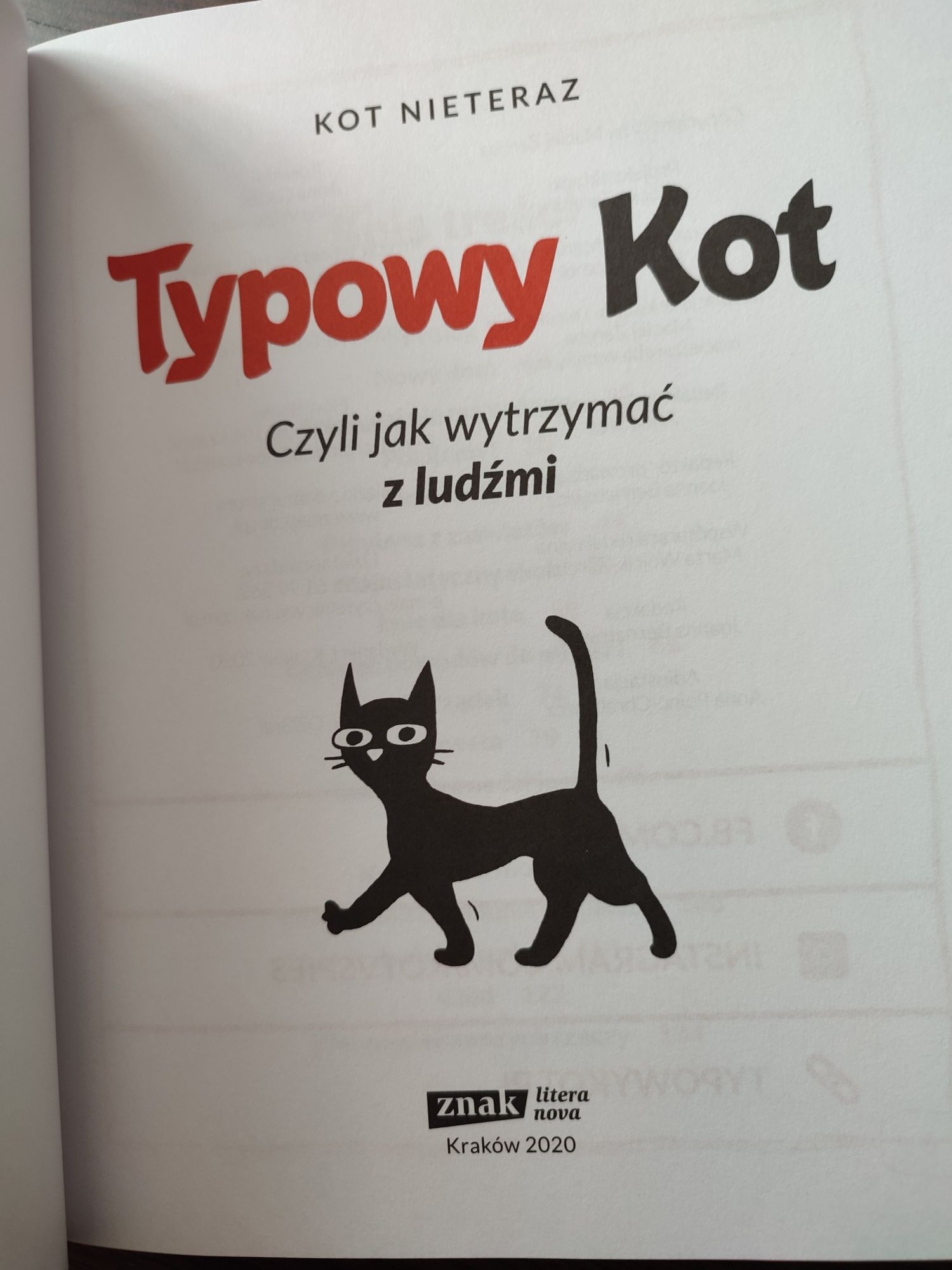 Książka Typowy kot