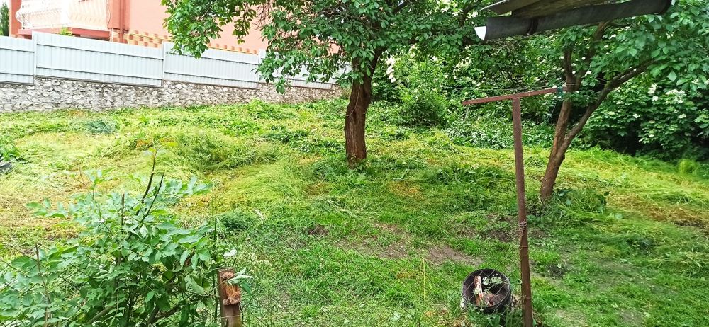 Косіня трави, газону, вирубка кущів, зачистка ділянок.