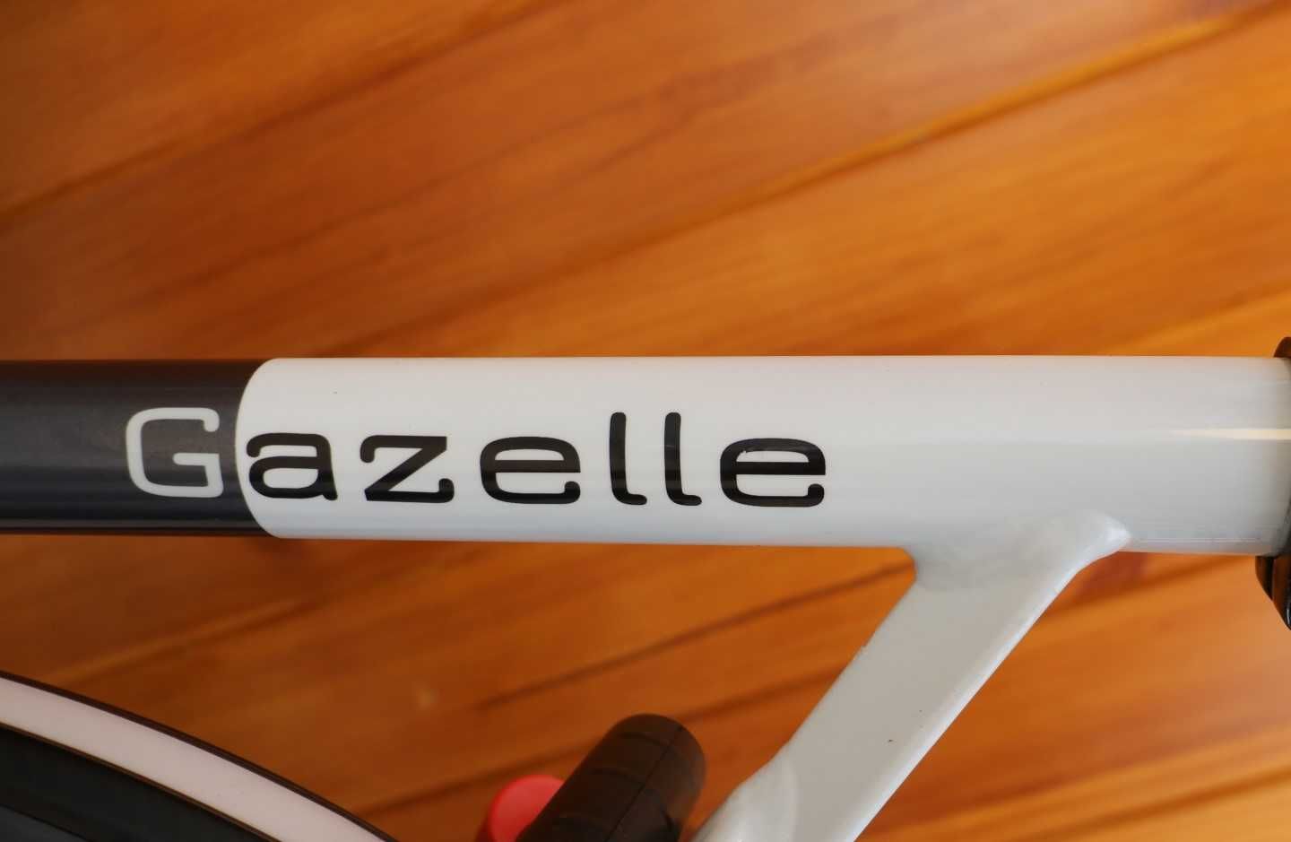 Rower damski Gazelle Eclipse. D 57. I inne rowery z Holandii