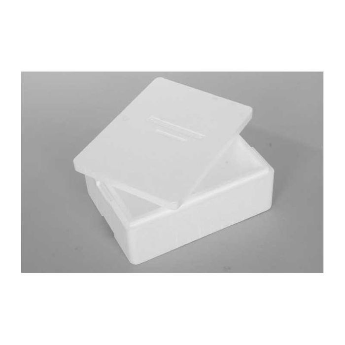 Pyszczaki Zebra Red Red młode 2-3 cm WYSYŁKA