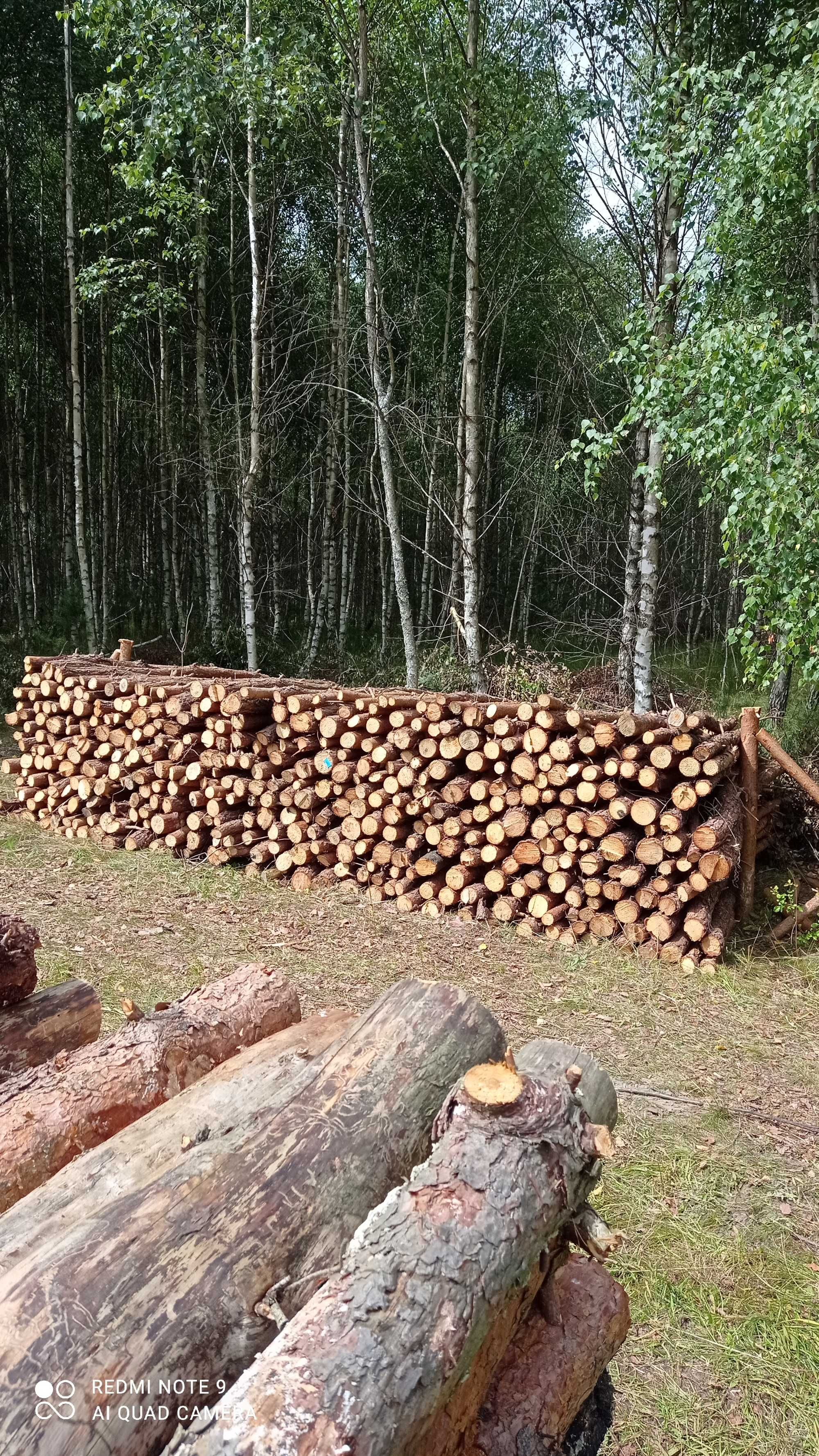 drewno opałowe  sosna cienkie grube