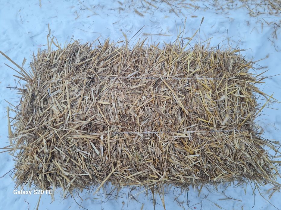 Słoma , kostki słomy sipma