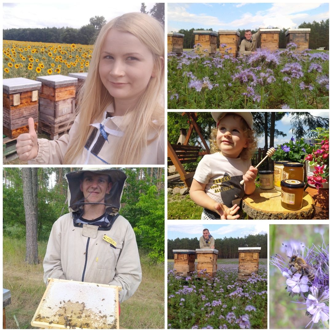 Prawdziwy miód pszczeli |450gl Pasieka Kruszewska Pszczółka