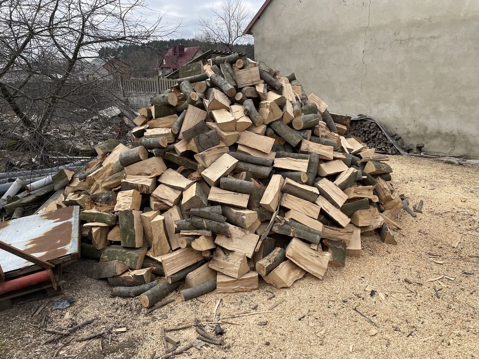 Suche Drewno opałowe bukowe