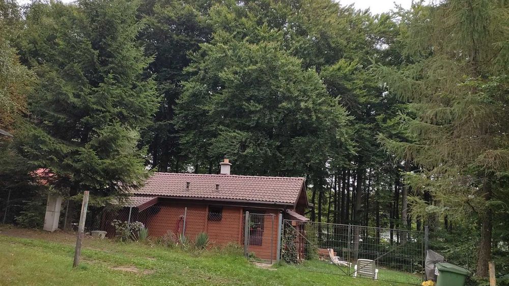 Drewniany domek z kominkiem, ładnym widokiem na jezioro, klima,