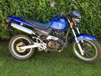 Honda Vigor/Dominator 650