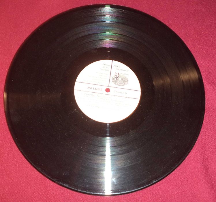 Winyl Płyta winylowa - Na luzie Maanam , Urszula Dmuchawce