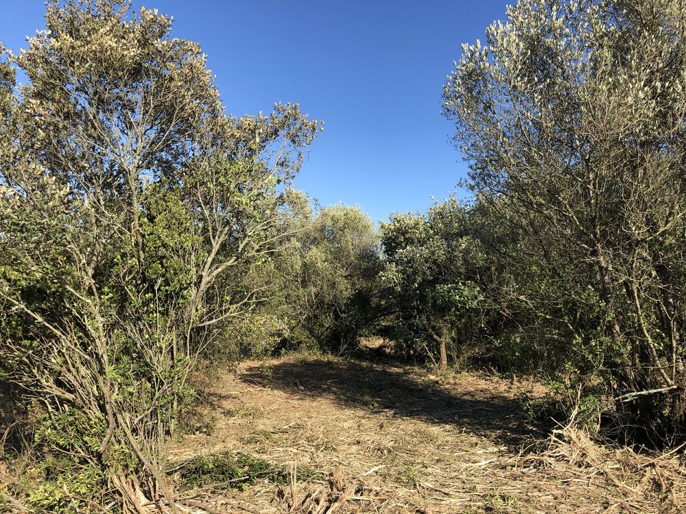 Quinta rustica 4320 m , com moardia t3 c permissao para finalizar obra