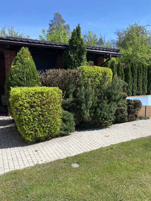 Благоустрій, послуги садівника