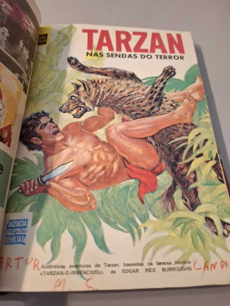 Revistas tarzan encadernado