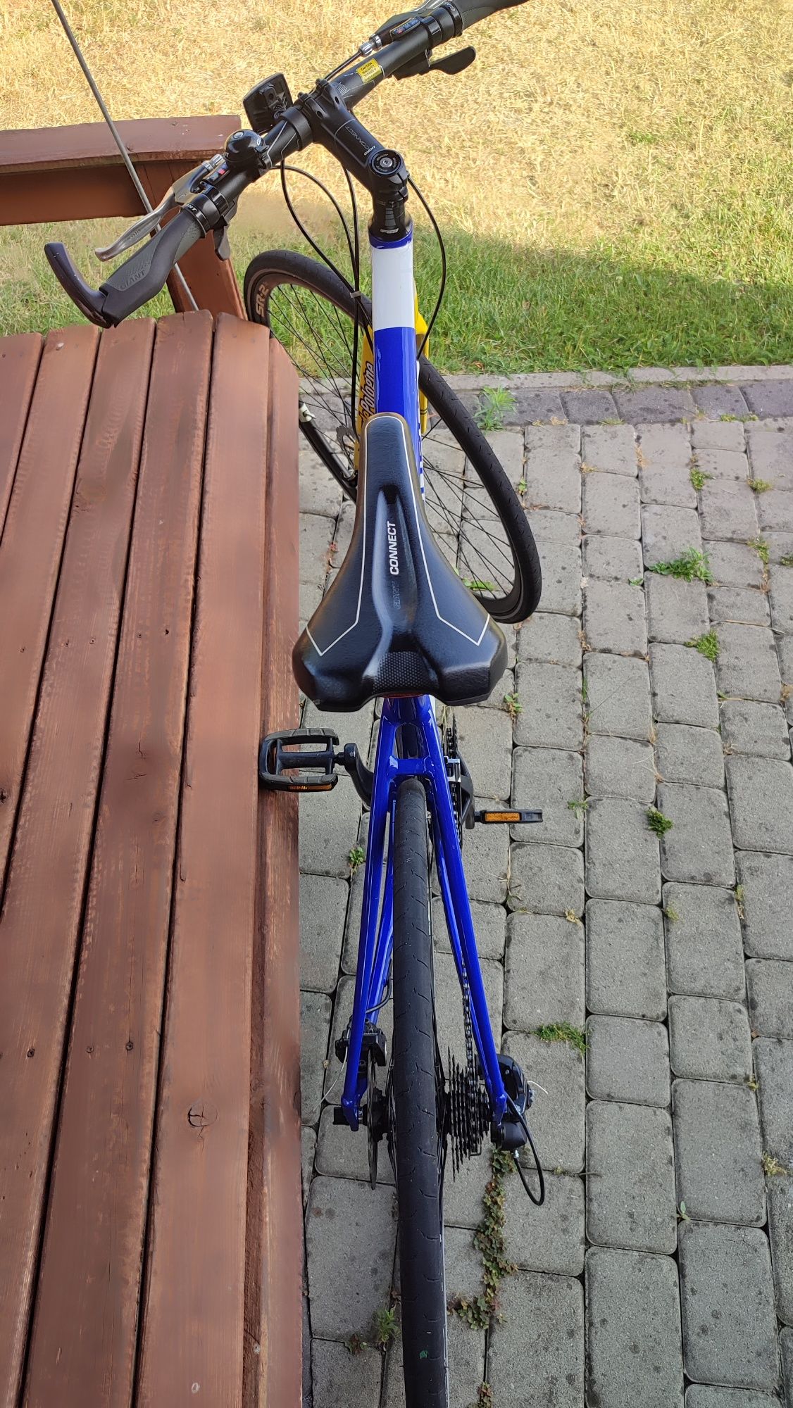 rower fitness  Giant Fastroad SLR RiseSense rama M