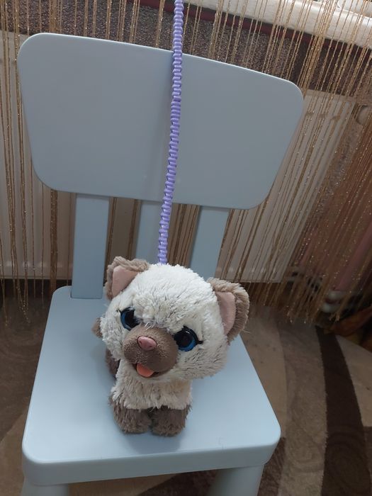 Кошеня Камі від Фурріал