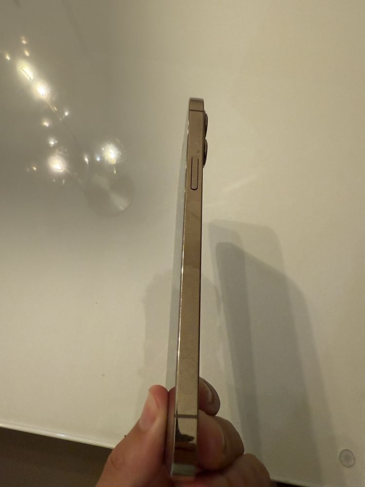 Iphone 12 pro max 128gb (gold)