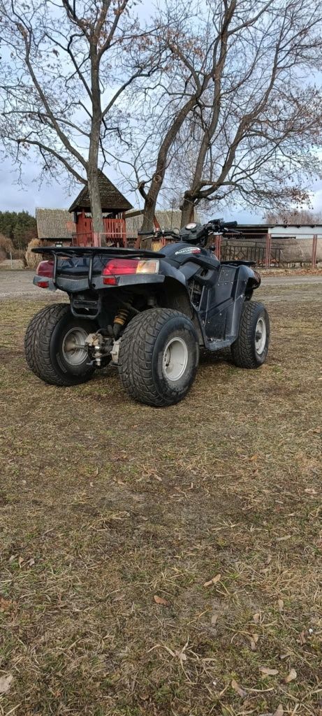 SYM QuadLander 300s