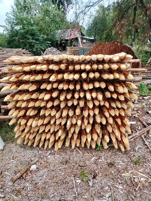 Paliki do drzewek owocowych