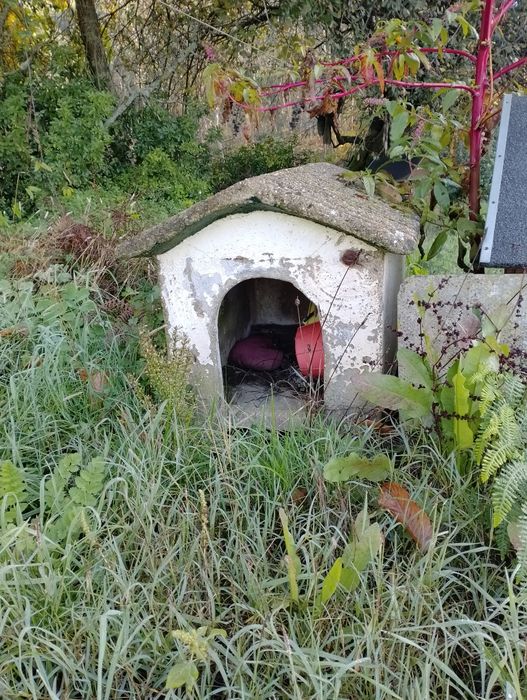 Casota para cão - bom estado