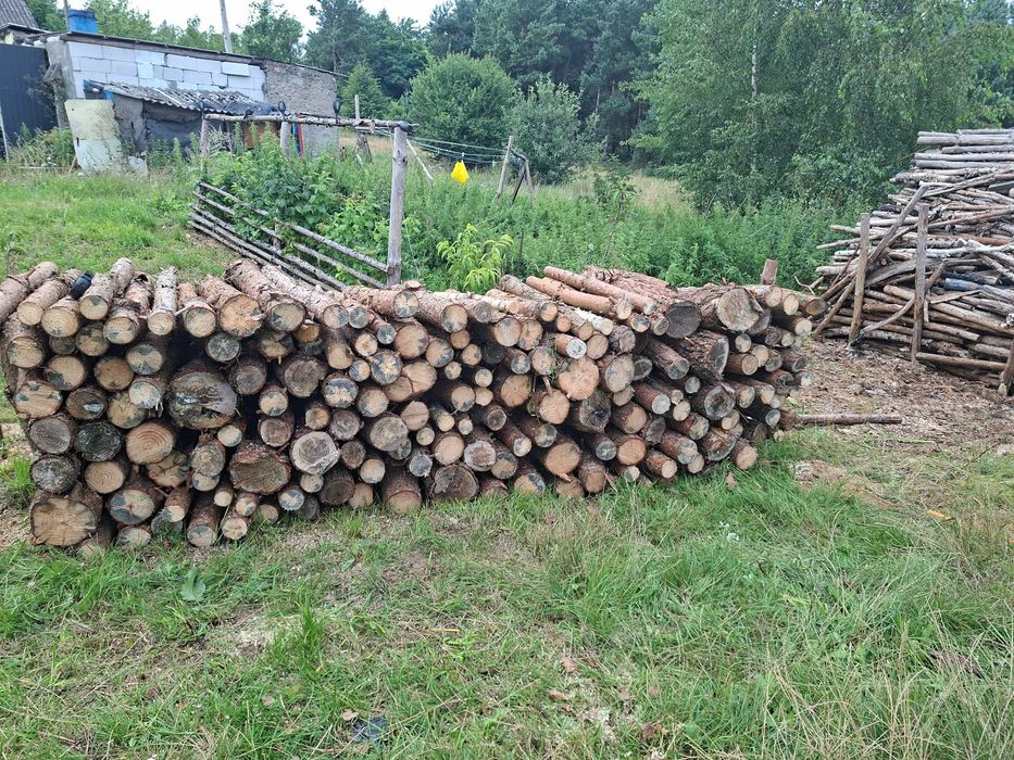 sprzedas wałki sosna