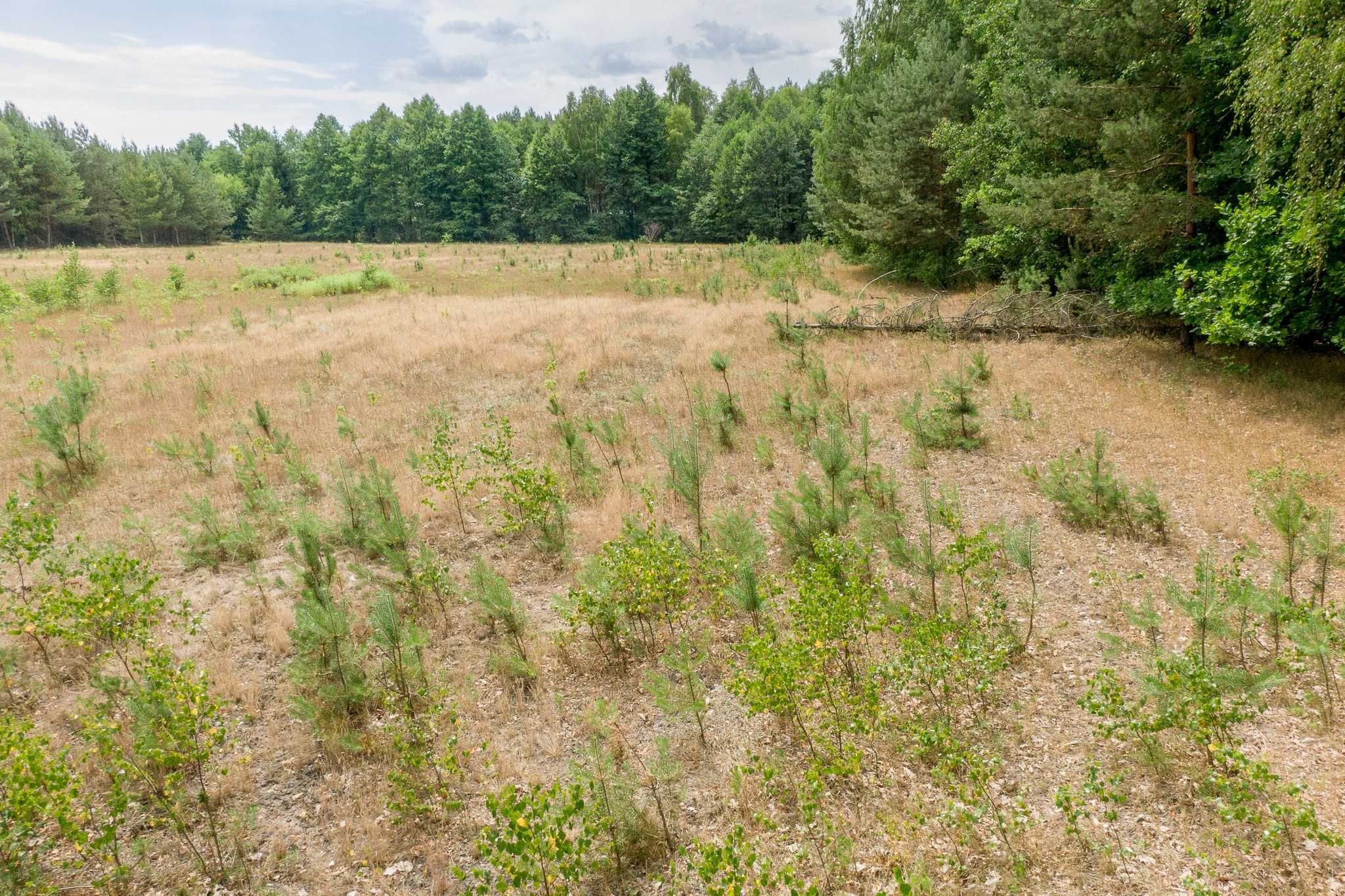 Działka 710 m2 nad jeziorem Łąkie bezpośrednio przy lesie