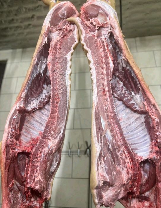 Продам домашню свинину