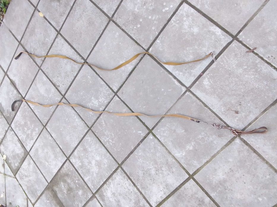 Ошейник + поводки для собаки (комплект)