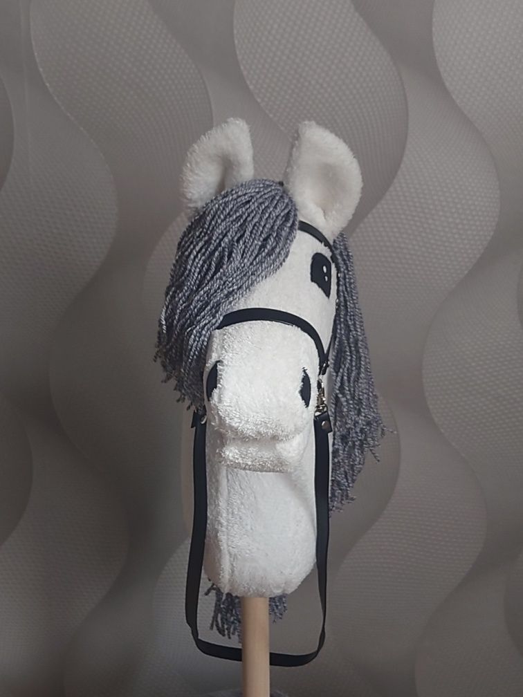 Hobby horse konik