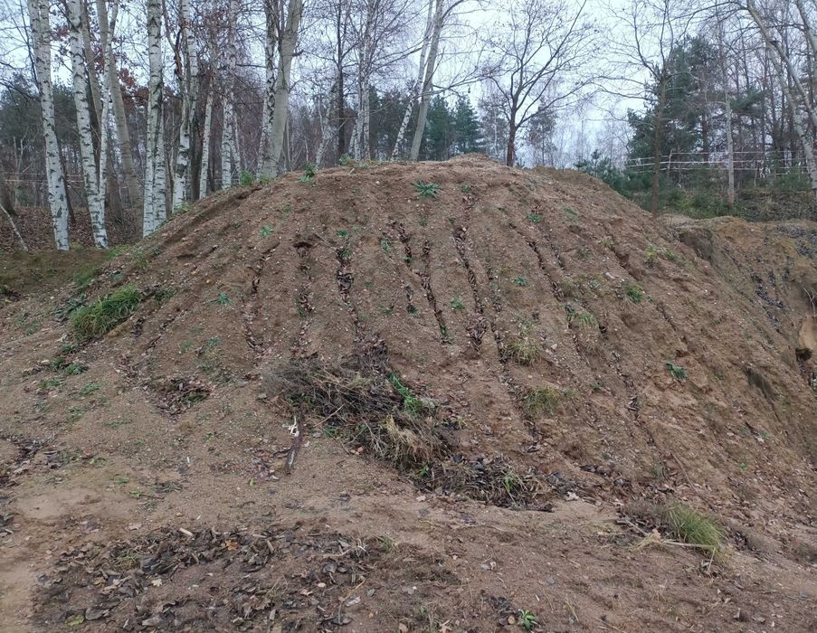 Oddam ziemię z wykopu stawu