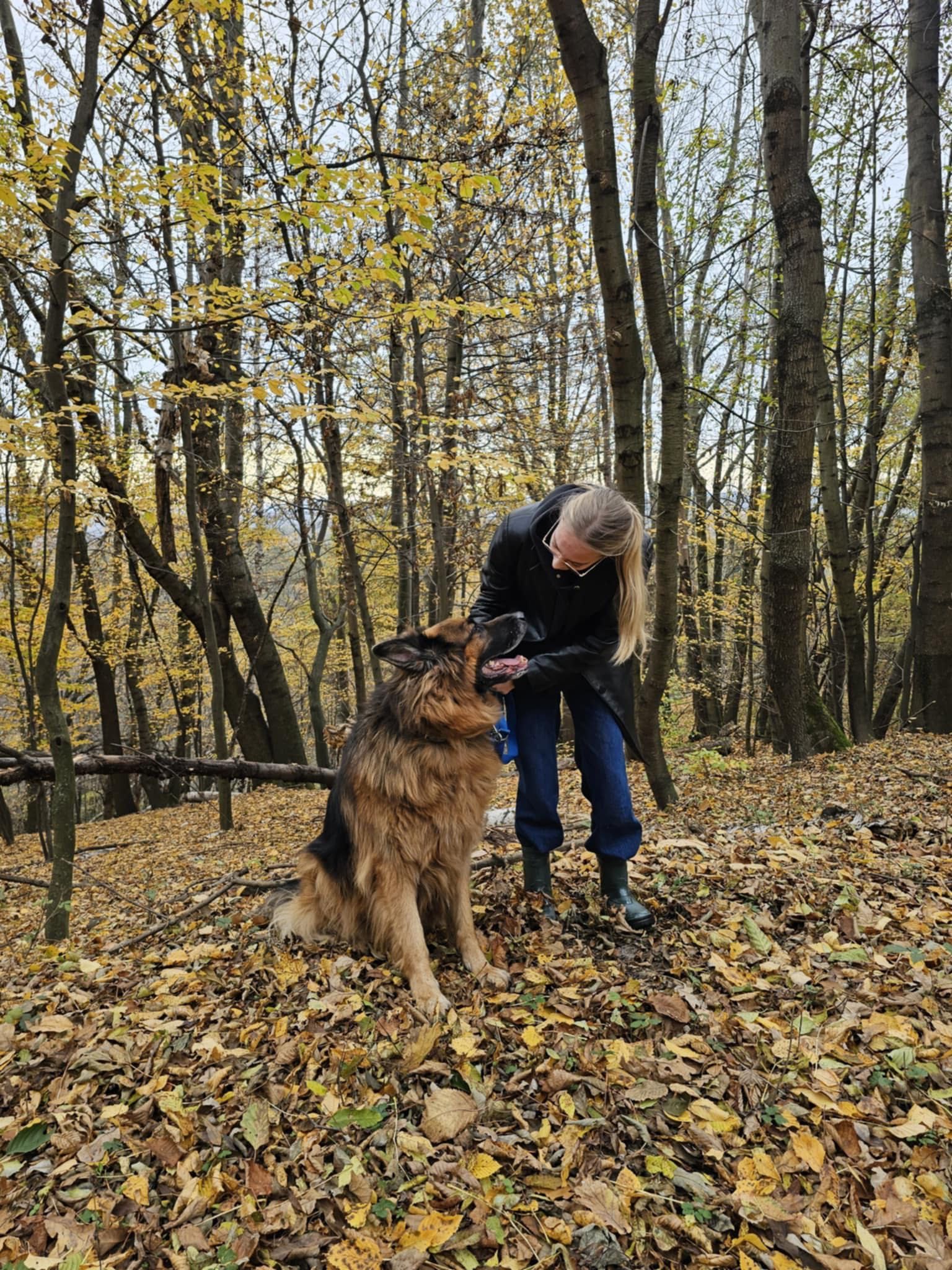 Trener i behawiorysta psów