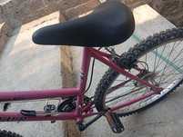 Bicicleta indur senhora 30€