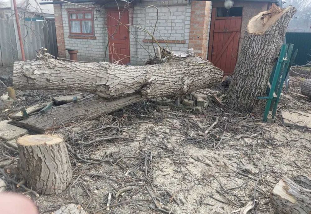 Покосить бурьян СПИЛ Деревьев Расчистка участков Корчевание пней Вывоз