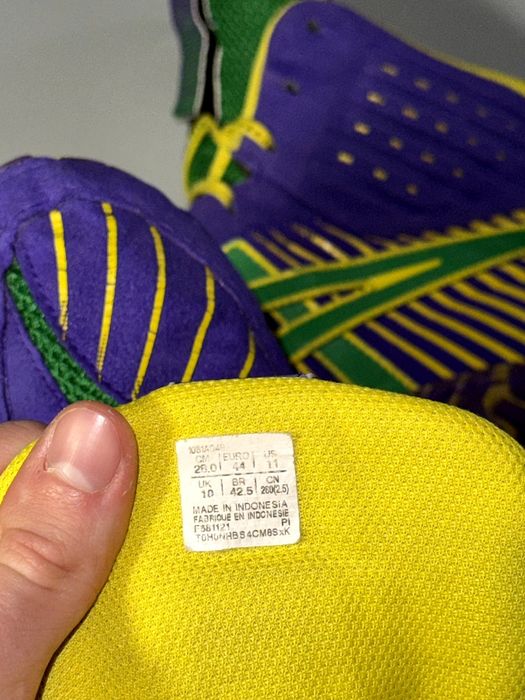 Борцовки/боксерки asics aggressor 4 "El Greco" 44