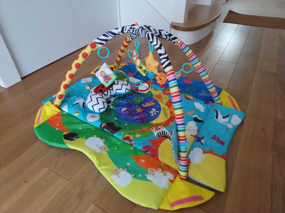 Mata edukacyjna LIONELO ANIKA