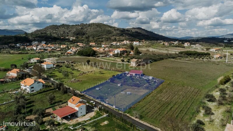 Terreno Rústico / Belmonte, Malpique