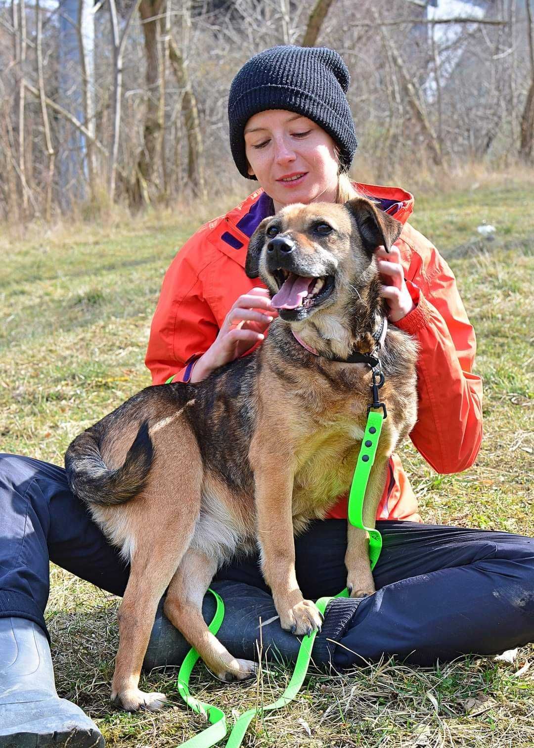 PILNE Kochana sunia szuka domu!
