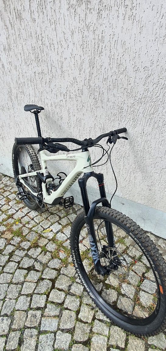 Specialized enduro elite 2021