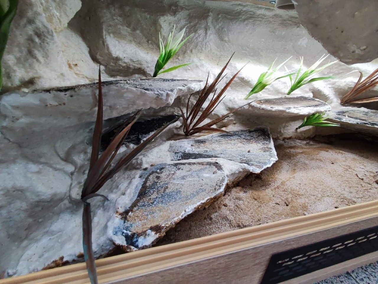 Terrarium z płyty meblowej gekon agama jaszczurka KOŚCIAN