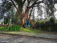 Terreno no centro da Vila de Cucujães