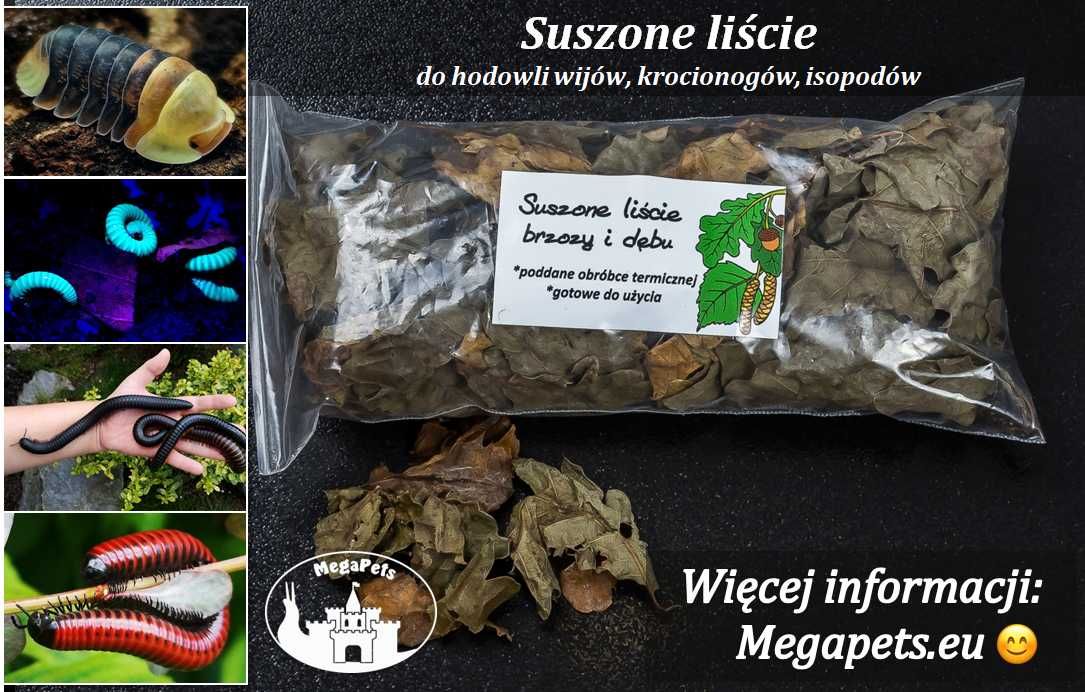 Suszone liście do hodowli Wije Karaczany Stonogi Skoczogonki Ekipa