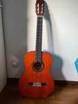Guitarra (Necessário substituir 1 das cordas)