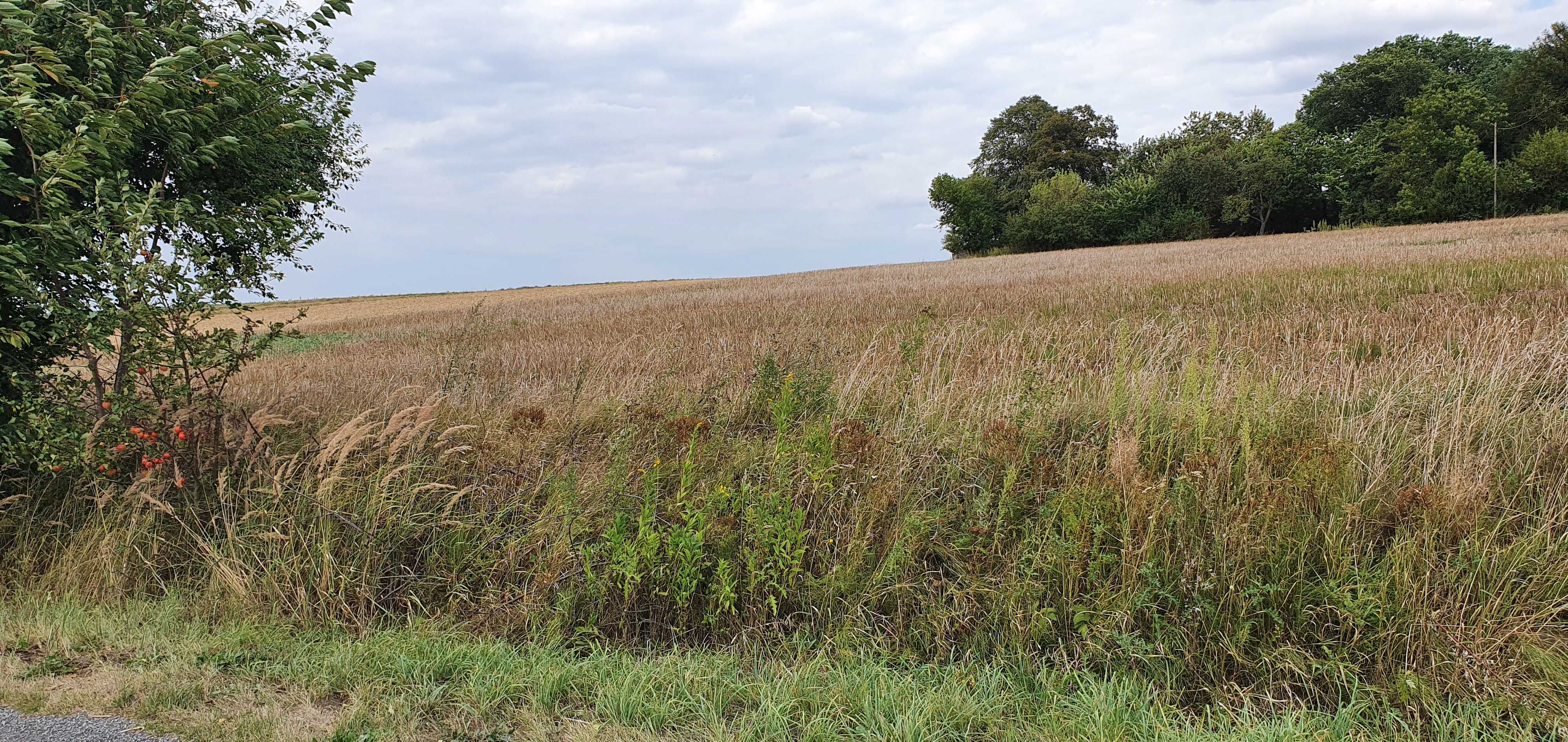 Działka budowlana 0,13ha Kiełczewice Górne, Strzyżewice,cicha okolica