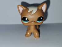Oryginalny Littlest Pet Shop shorthair #1170 kotek LPS