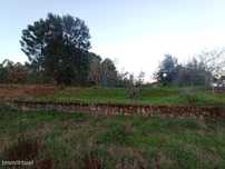Terreno em Escandarão, Ourém