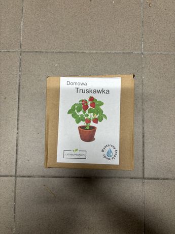 Truskawka – zestaw do uprawy