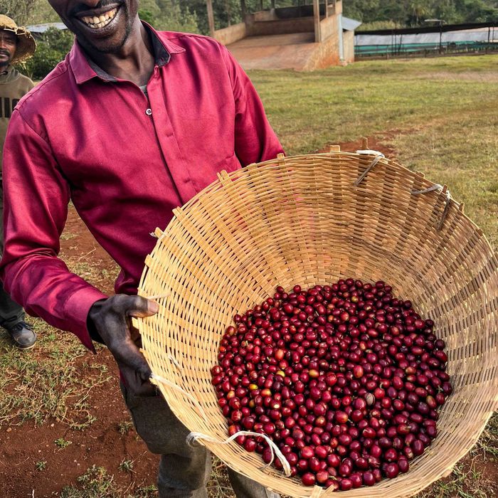 100% DE LUX Кава Арабіка Танзанія Кіліманджаро