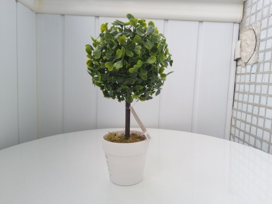 Цветок декоративный