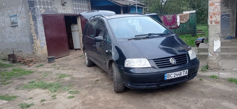 Продам шарана 2001 рік