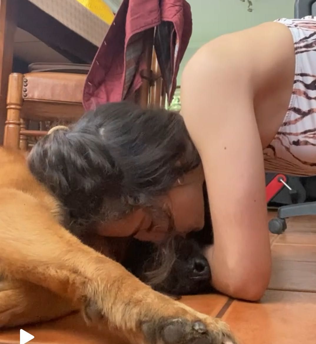 Pet Sitting e Dog Walking com Muito Carinho!