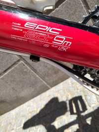 Specialized epic