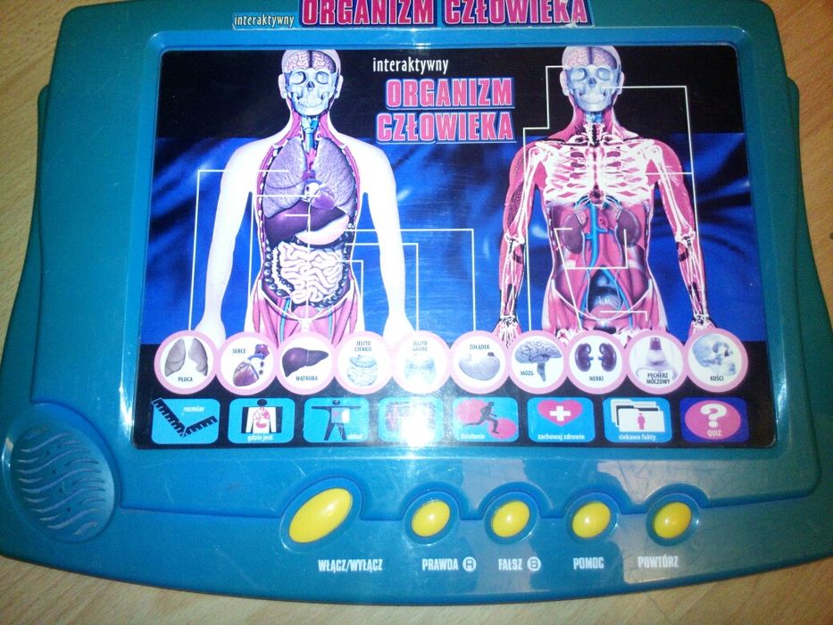 Gra edukacyjna "interaktywny ORGANIZM CZŁOWIEKA"